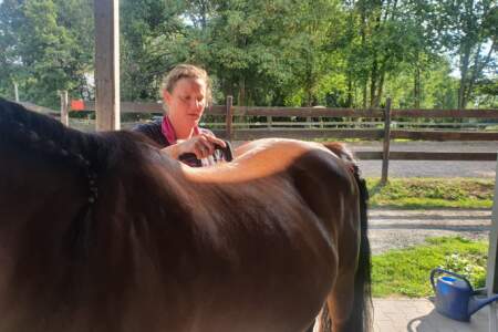 Frau behandelt ein braunes Pferd mit einem Therapiegerät im Freien auf einem Hof.