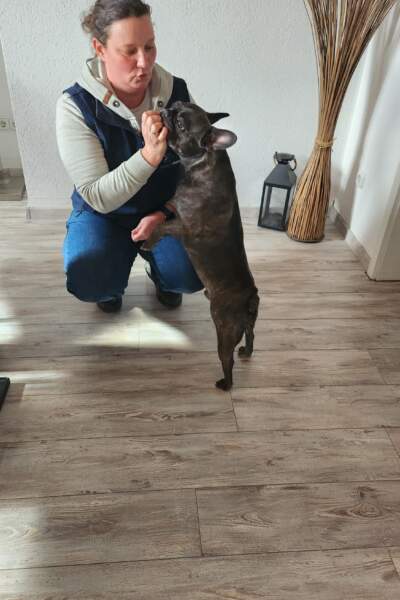 Kleiner Hund steht auf den Hinterbeinen und interagiert mit einer Person.