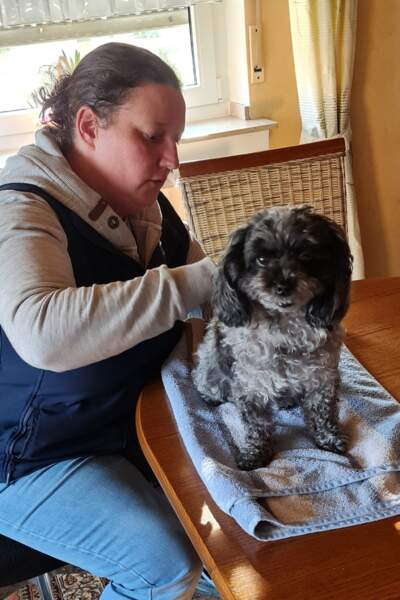 Therapeutin führt physiotherapeutische Behandlung an kleinem Hund auf einem Tisch mit Handtuchunterlage durch.