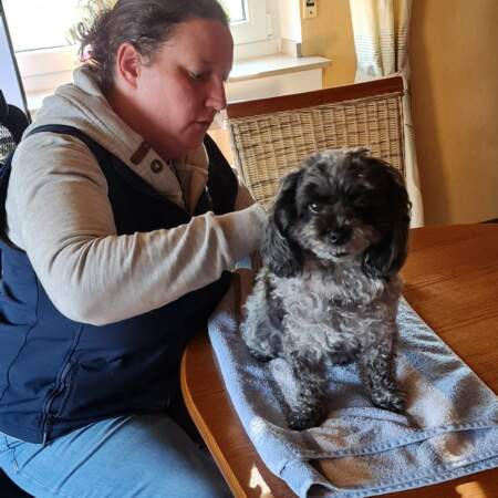 Therapeutin führt physiotherapeutische Behandlung an kleinem Hund auf einem Tisch mit Handtuchunterlage durch.