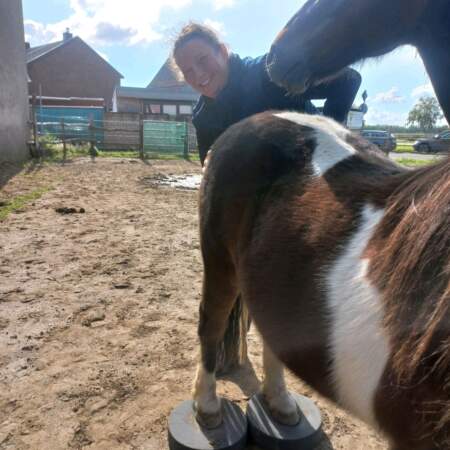 Frau arbeitet mit einem Pferd, dessen Hinterbeine auf zwei Balance-Pads stehen, auf einem Außenplatz.