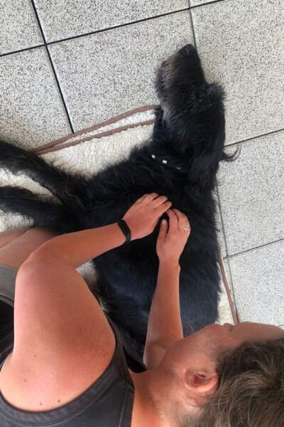 Frau führt eine physiotherapeutische Behandlung an einem auf der Seite liegenden schwarzen Hund durch.